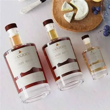 100ml Glass Whiskey Gin Vodka Tequila Bottles with T-Cork